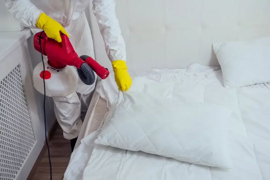 The Importance of Integrated Pest Management (IPM) in Bed Bug Control