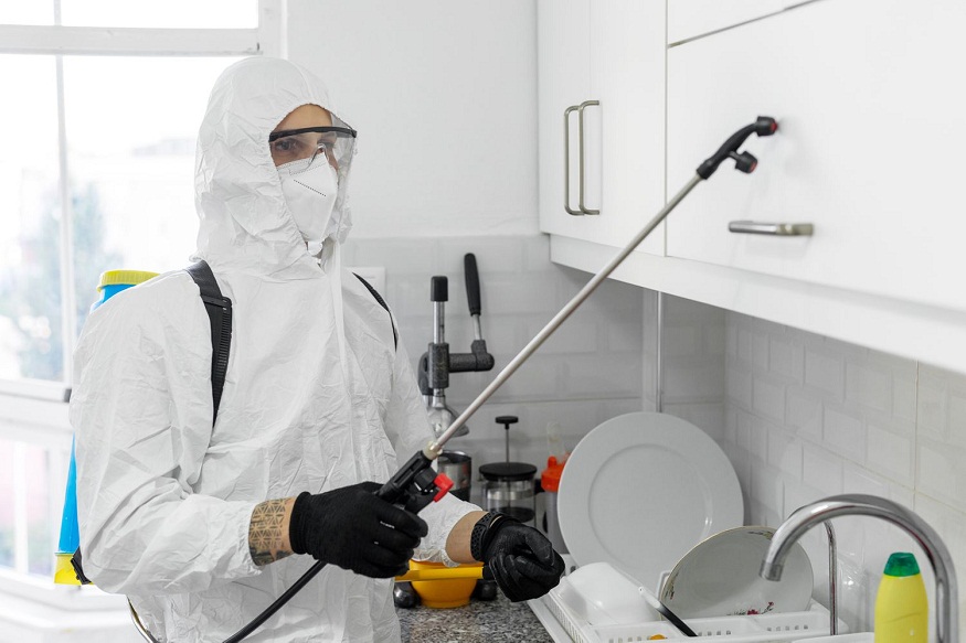 Kitchen Pest Control: Keeping Your Food Preparation Area Clean and Safe