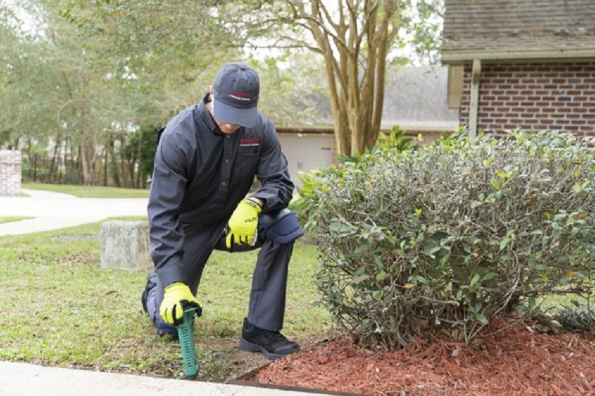 Presto Pest Control